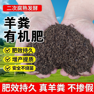 甘肃纯羊粪发酵有机肥料瓜果蔬菜花卉专用腐熟羊粪绿植盆栽农家肥