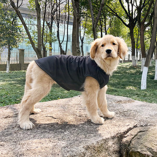 金毛萨摩耶拉布拉多夏天透气中型犬大型犬背心 大狗狗衣服夏季 薄款