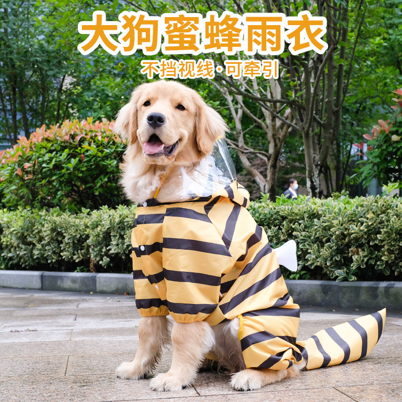 金毛雨衣拉布拉多中型大型犬