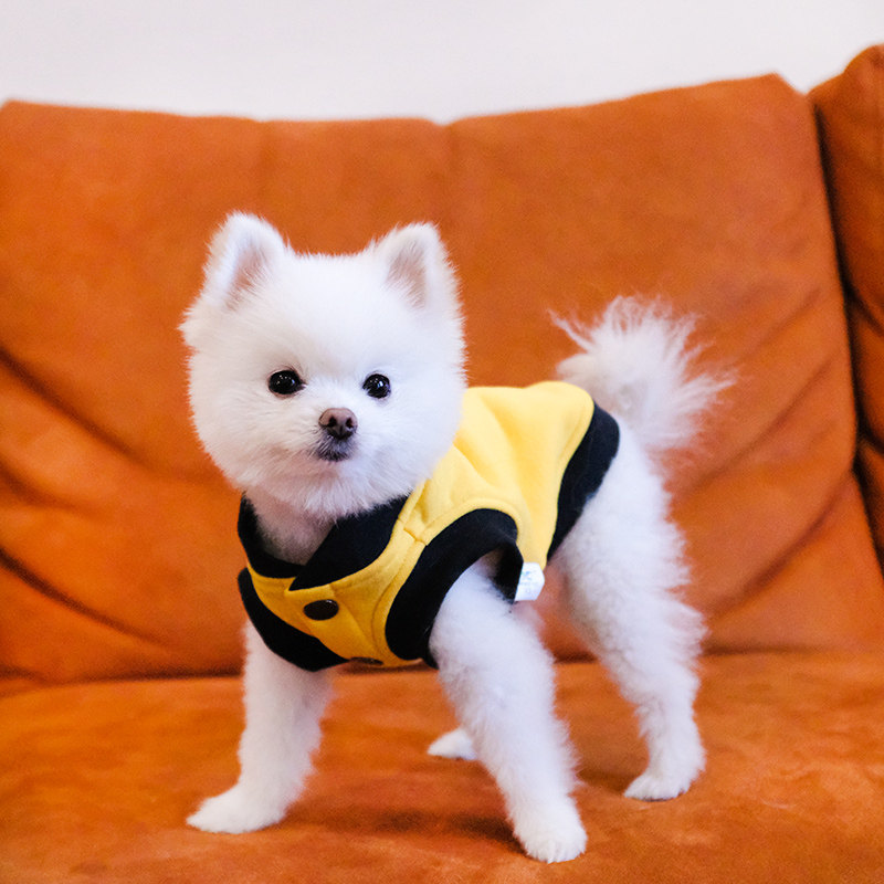 小狗狗衣服开衫背心春秋薄款泰迪博美小型犬春季防掉毛宠物秋冬装