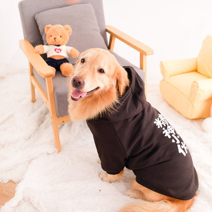 大狗狗衣服春秋冬装柴犬金毛萨摩耶拉布拉多中型犬大型犬秋季卫衣