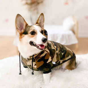 防掉毛小型犬中型犬宠物狗狗冬装 柯基专用衣服秋冬款 保暖加厚冬季