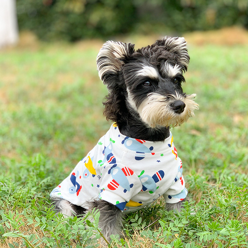 狗狗衣服薄款夏季棉质居家睡衣透气泰迪比熊雪纳瑞小型犬小狗夏装-封面