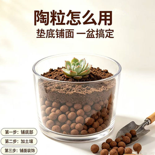 绿植专用陶粒园艺养花陶炭球花卉