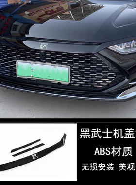比亚迪汉EVDMI中网装饰贴