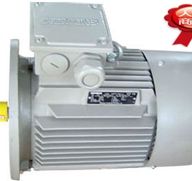 1LG0080-2AA21-Z/W02+W03+D29；0.75 KW 2级 立式 NSK轴承加油封