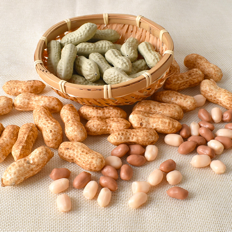 仿真花生模型塑料假小花生坚果早教玩具零食果盘装饰拍摄摆设道具