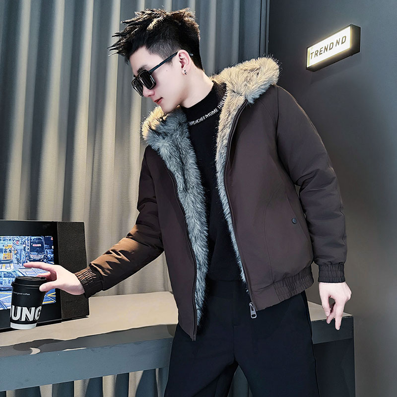 CF147-P148控198社会小伙座山雕连帽棉衣外套潮流棉服男咖，男装棉衣，电商A343