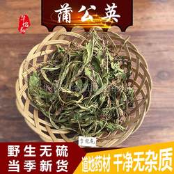 蒲公英茶农家苦苦菜野生干蒲公英干婆婆丁根中药材苦地丁500g包邮