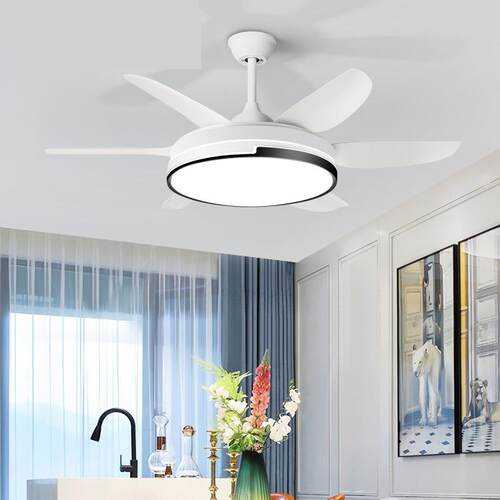 2024风扇灯吊扇灯家用一体吊灯客厅餐厅展厅六叶大尺寸变频电扇灯