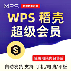 秒发wps 超级会员一天1小时稻壳会员pdf转word图片转word格式翻译