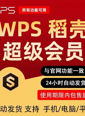 wps超级会员一天wps会员一月一小时wpsai大会员一天AIPPT稻壳会06