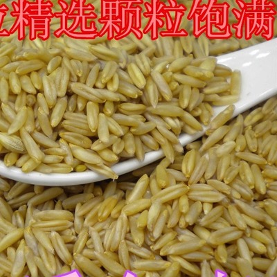 优质新燕麦米 煮粥好食材 燕麦500g五谷杂粮家用