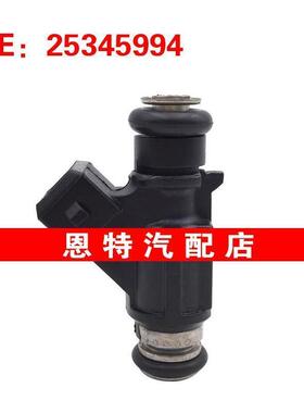 适用于长城哈弗江淮奇瑞 燃油喷射器 德尔福喷油嘴 25345994