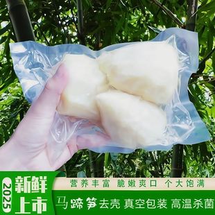 2025新鲜上市绿竹笋绿笋嫩笋重庆马蹄笋水果笋黄金笋甜笋去皮笋肉
