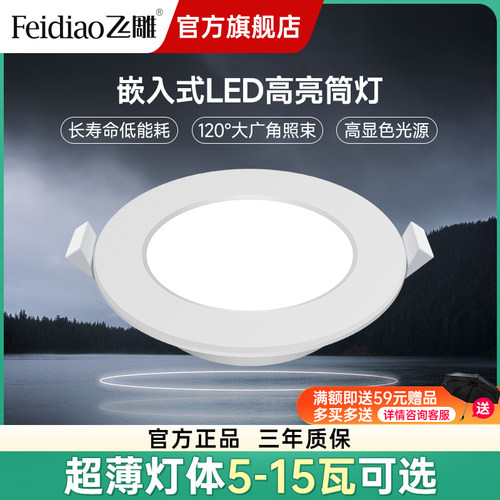 飞雕客厅过道筒灯嵌入式LED筒灯