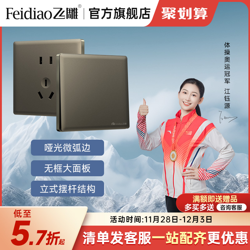 飞雕16A荧光灰微弧边开关插座