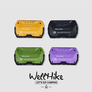 WELLHIKE棱甲舱顶灯750lm强光照明磁吸卡片led超长续航露营野外灯