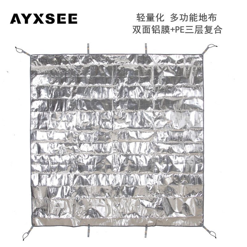 AYXSEE加厚pe铝箔野餐垫帐篷防潮垫地布双面铝膜沙滩露营便携地席