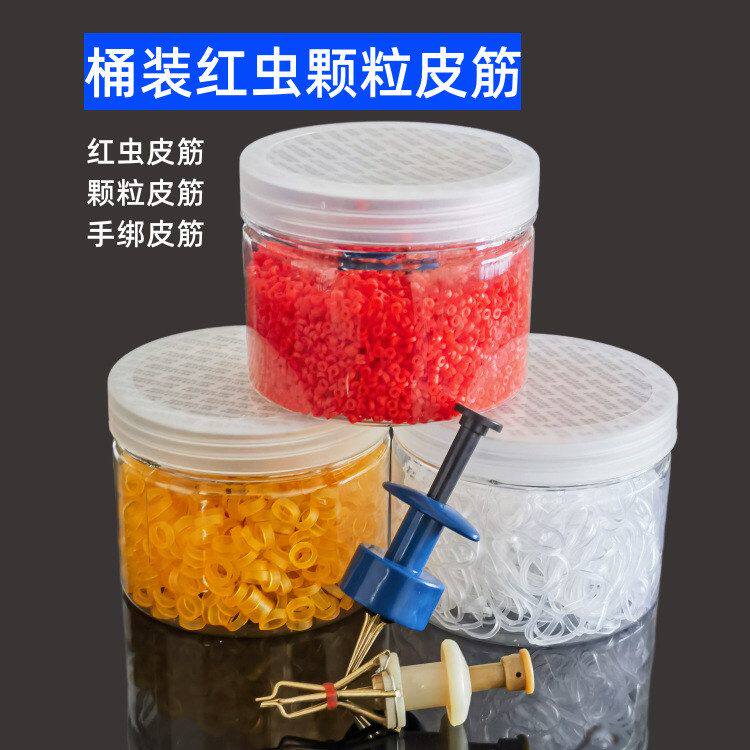 大物颗粒皮筋红虫皮筋桶装带红虫夹钓鱼颗粒橡胶皮筋手绑皮筋批发