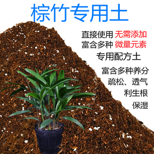棕竹土盆栽种植棕竹专用土酸性土壤沙性土花泥种植通用营养土花肥