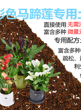 彩色马蹄莲专用土室内盆栽