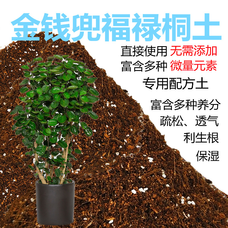 福禄桐专用土家用盆栽金钱兜土壤钱多多营养土花卉栽培基质透气,鲜花速递/花卉仿真/绿植园艺,介质/营养土,淘宝优惠券,粉丝福利购,淘宝优惠卷