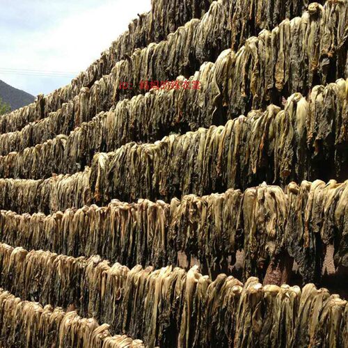 干酸菜干农家自制土特产云南宣威泡菜干货下饭菜脱水蔬菜散装