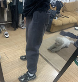 棉物启示冬季 全棉加绒加厚巨显瘦松紧腰休闲束口男女卫裤 垂感直筒