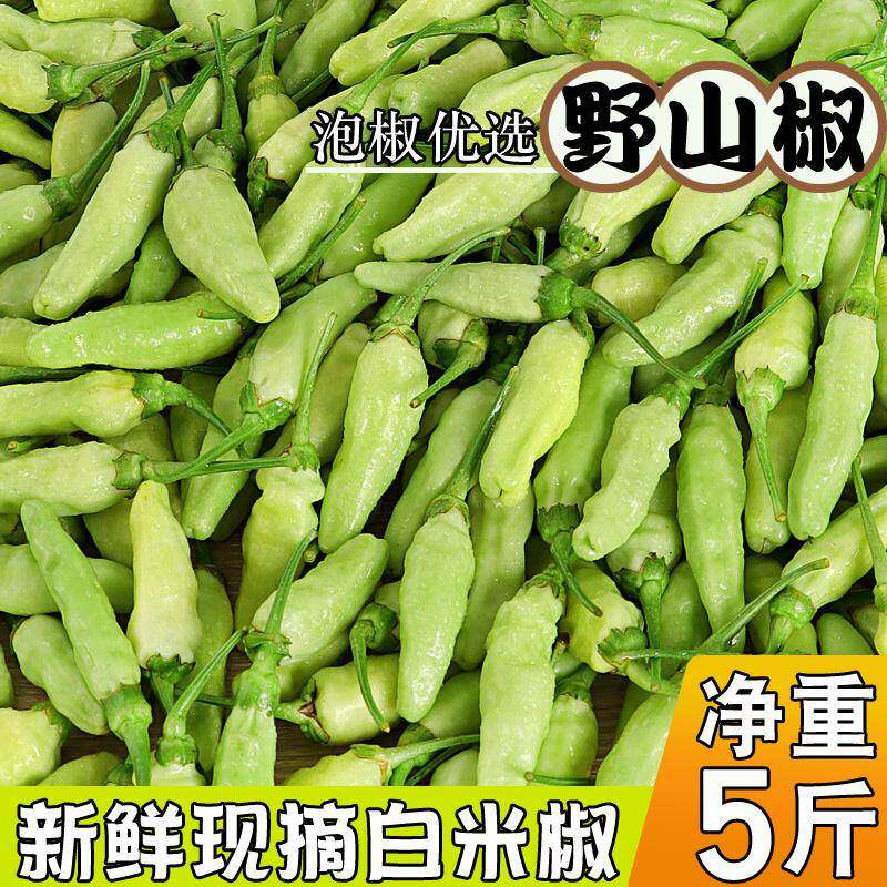 广西新鲜野山椒 白米椒特辣泡椒辣海椒产地直发小米椒新鲜白辣椒