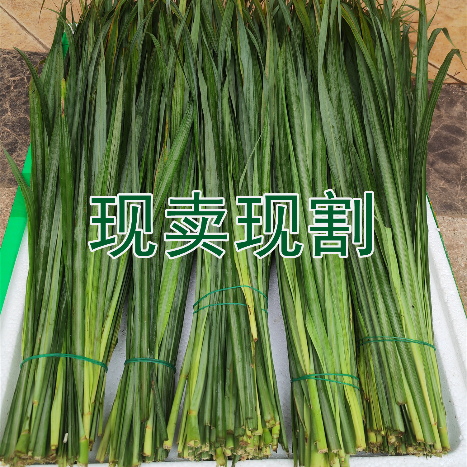 香茅草叶柠檬草泰国冬阴功汤香料泰式烤鱼烤鸡香料泰国香茅草叶