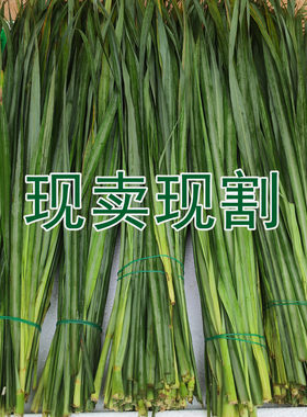 香茅草叶柠檬草泰国冬阴功汤香料泰式烤鱼烤鸡香料泰国香茅草叶