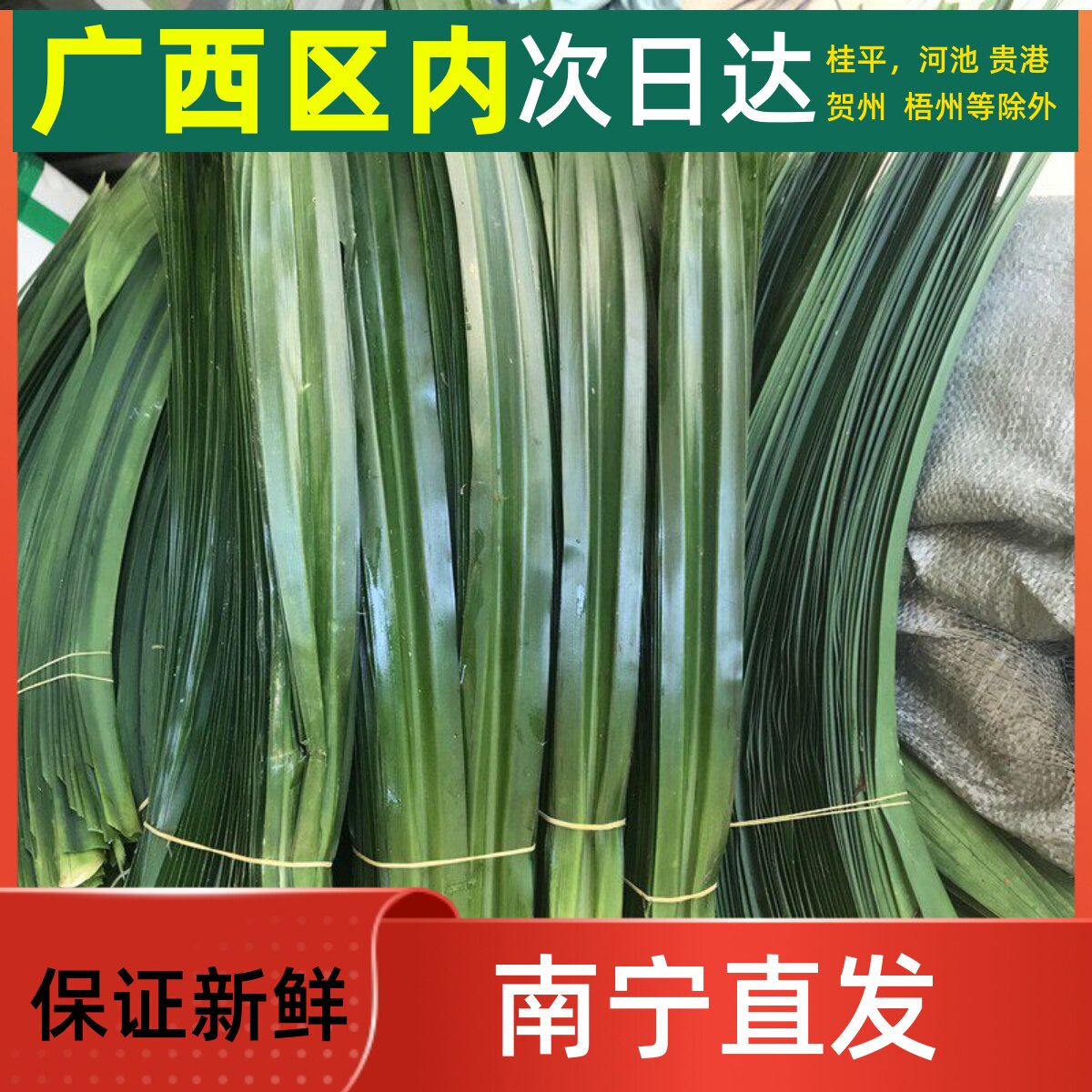 新鲜食用香兰叶斑斓叶斑兰叶做甜品椰汁糕食用芒果糯米饭广西发货
