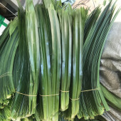 南宁直发 蛋糕千层芒果糯米饭 斑斓叶新鲜食用香兰叶班兰叶 包邮