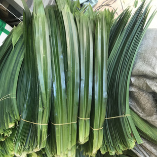 斑斓叶新鲜食用香兰叶班兰叶包邮蛋糕千层芒果糯米饭 南宁直发