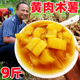 正宗广西黄心面包木薯黄肉木薯新鲜现挖板栗密木薯羹糖水农家特产