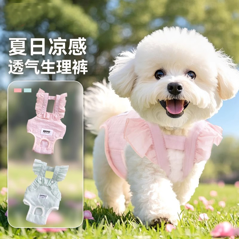 夏季超透气母狗生理裤专用