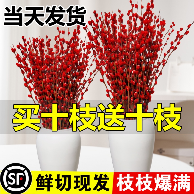 银柳真花鲜枝客厅摆件耐寒年宵花