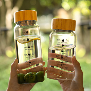 高硼硅玻璃水杯冷泡瓶饮料果汁咖啡杯带盖便携大容量杯子2025新款