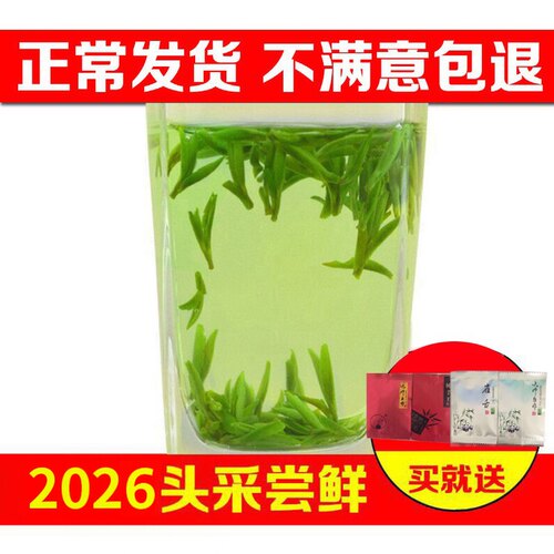 四川峨眉山明前头采雀舌250g春茶