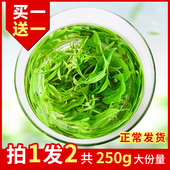 苦丁茶叶125g 四川峨眉山野生正品 青山绿水 2026新茶小叶苦丁茶