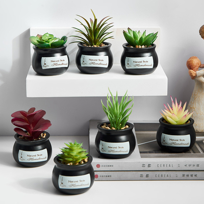 速发迷你假多肉小盆栽风创意室内家居桌面植物绿植装饰品摆件