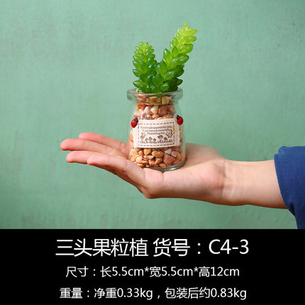 创意仿真盆栽植物小摆件室内客厅绿植玻璃盆景摆设置物架窗台装饰