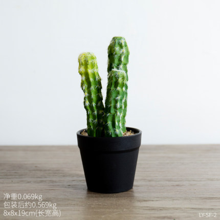 创意小清新可爱迷你植物盆栽 电脑桌室内办公桌面多肉装饰品摆件