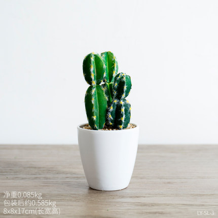 创意小清新可爱迷你植物盆栽 电脑桌室内办公桌面多肉装饰品摆件