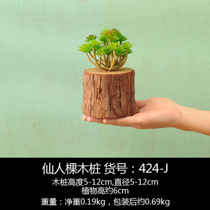 复古创意奶茶店墙上田园风墙面装饰品仿真植物挂饰家居墙饰小挂件