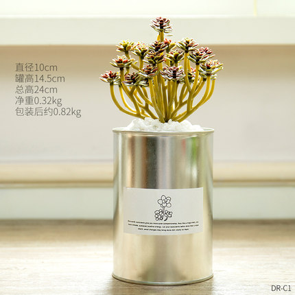 创意个性家居仿真植物小盆栽假多肉客厅餐桌书房店铺装饰品摆件