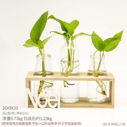 创意水培花瓶酒柜装饰品摆件家居客厅房间电视柜办公桌绿萝小摆设