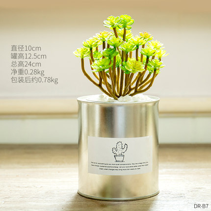 创意个性家居仿真植物小盆栽假多肉客厅餐桌书房店铺装饰品摆件