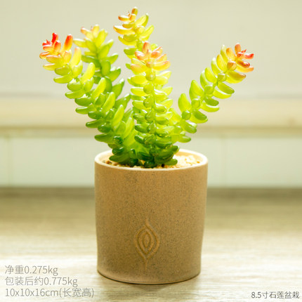 创意仿真植物摆设个性家居客厅房间卧室盆栽置物架盆景装饰品摆件